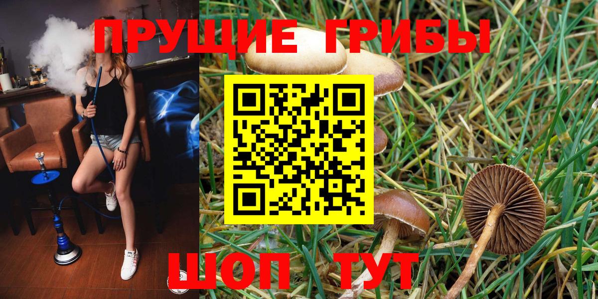 Псилоцибиновые грибы GOLDEN TEACHER Белая Калитва